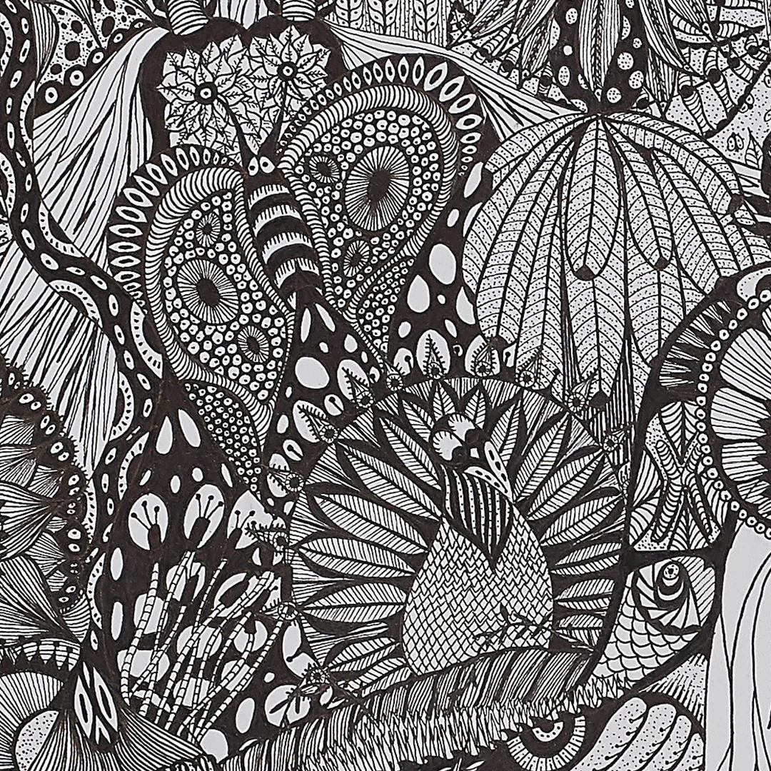 AXIS — detail 2