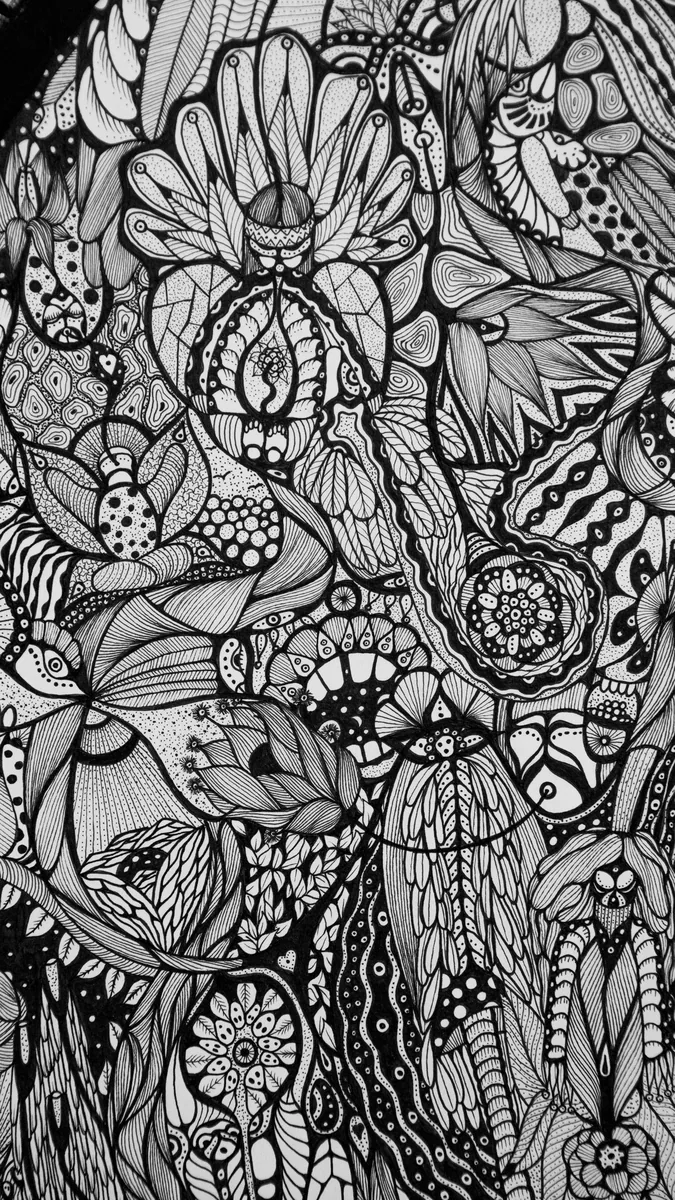 MAESTRO — detail 2