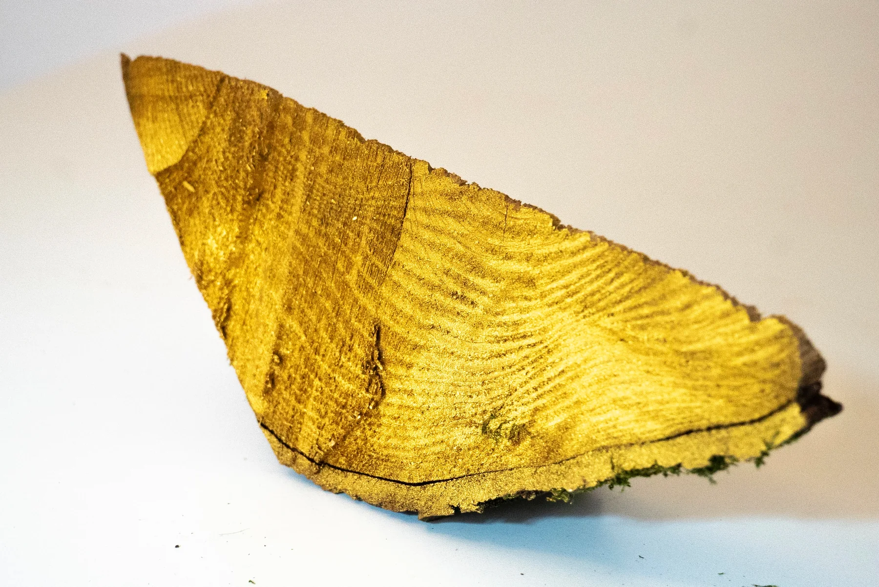 GOLDEN PASTEK — Rinaldo Marasco