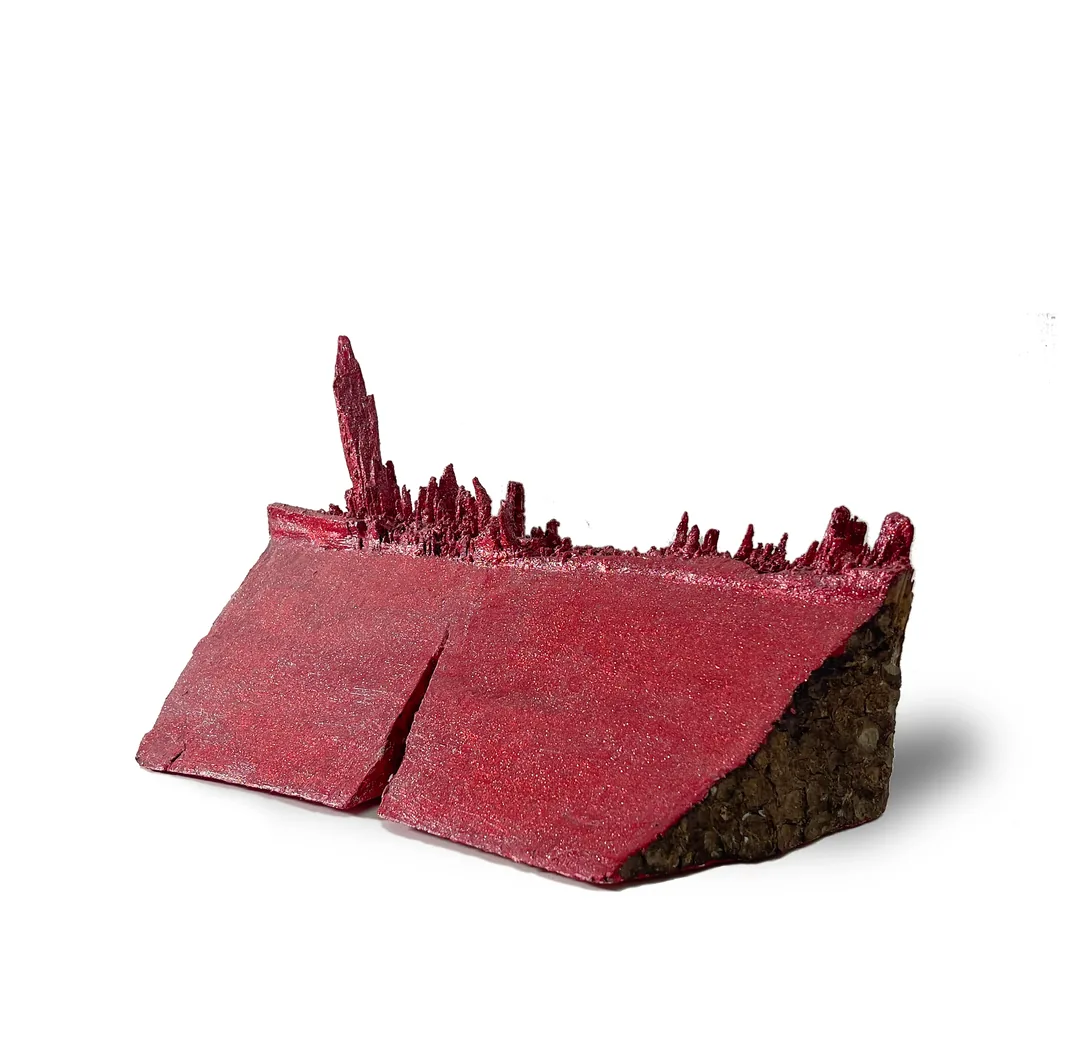 RED — detail 1