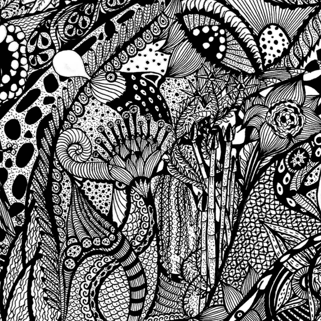 SEED — detail 1