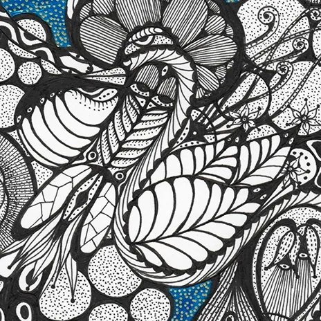 VOLANDO — detail 1